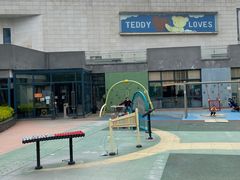 -成都泰迪熊博物馆