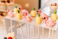 -荟派·派对世家