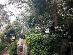 -九龙公园
