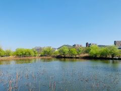 -长兴太湖图影湿地文化园