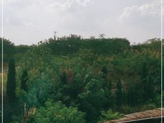 -衡阳东站