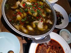 -鸡毛店·川菜(双楠店)