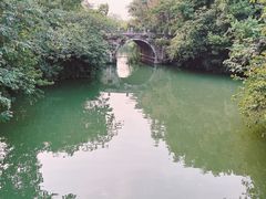 -乌镇景区