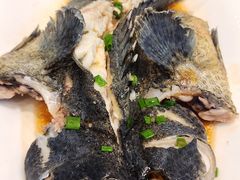 清蒸老虎斑-舌尖上·霞浦滩涂海鲜·新闽菜(总店)
