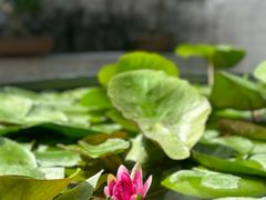 -广富林宰相府酒店·水云间