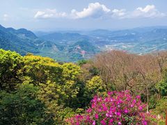 -广州市石门国家森林公园