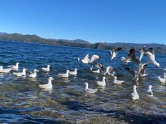 -丽江泸沽湖景区