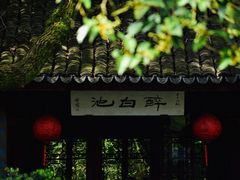 -上海醉白池公园