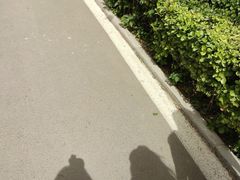 -辛玛王国游乐园