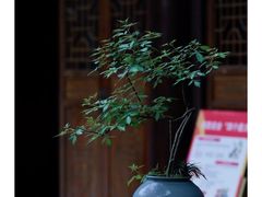 -石峰岩寺