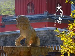 -大觉寺-停车场