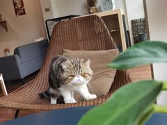 -参差咖啡(水果湖公园店)