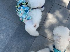 -小意思咖啡店(草桥店)