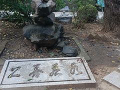 -大连植物园