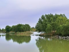 -马家湾湿地公园