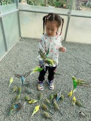 -萌宠亲子动物乐园(槐房万达店)