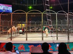 -俄罗斯国家大马戏团