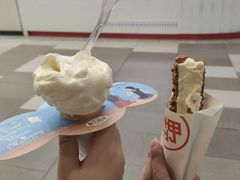 -野人先生现做冰淇淋(西安赛格店)