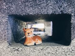 小鹿商店-鹿境梅花鹿生态园区
