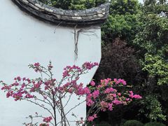 -乌山风景区