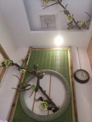 -芳朵美容养生SPA