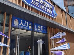-西安银基冰雪世界
