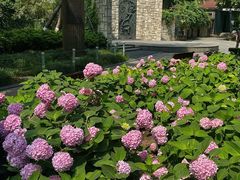 -常州古运河南大街文化旅游区-人民公园