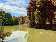 -上海海湾国家森林公园