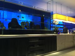 -唐茶苑(Soho)