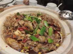 红烧肥肠饭-火胖子肥肠煲·始于1998(南山村店)