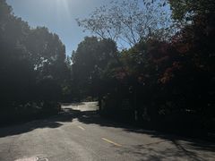 -白马涧龙池景区