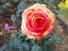 -人民公园(罗湖区)