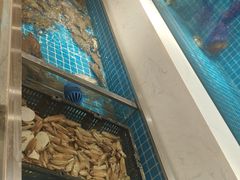 -腾阁自助餐厅(朝林广场店)