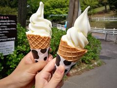 -神户市立六甲山牧场