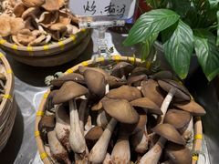 -滇铺子·云南特色菜·第九届野生菌美食节(东风东路c86店)