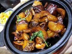 三杯鸡-小明同学(三里屯店)