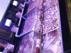 -韩盛·盛江山自助料理(中街大悦城店)