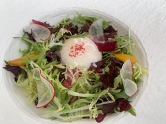 -Oyster Talks 四度蚝法餐厅