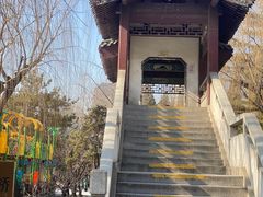 -团结湖公园