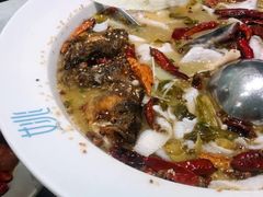 头牌酸菜鲈鱼（中份）-姚姚酸菜鱼·金戈戈香港豉油鸡(喜荟城联名店)
