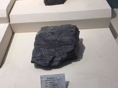 -辽宁古生物博物馆