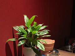 -观宴·品质赣菜(高新大道店)