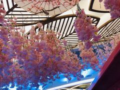 -茶马花街(城西银泰城店)