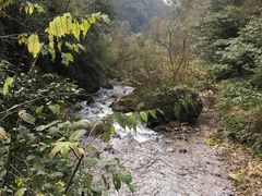 -西岭雪山大飞水景区