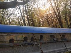 -帽儿山风景区
