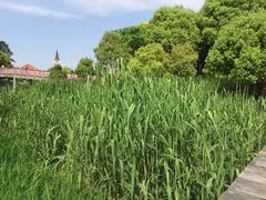 -美兰湖景区