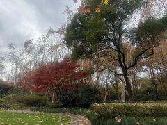 -星巴克(西湖天地店)