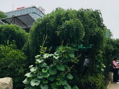 -新月斋(豆瓣胡同店)