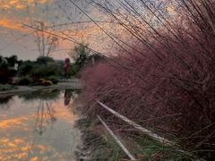 -北龙湖湿地公园