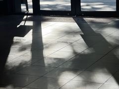 -M Stand(深圳龙岗万科广场店)